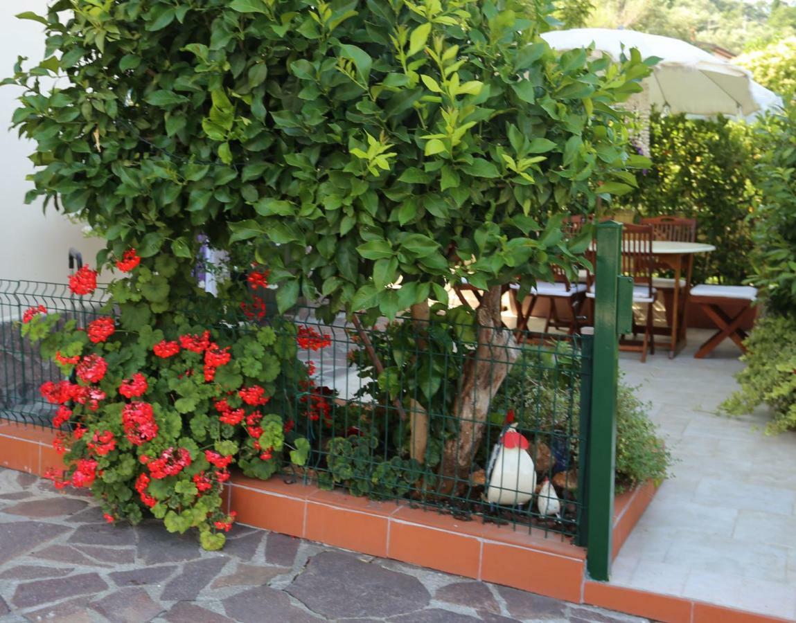 Liguria Home Амеля Екстериор снимка